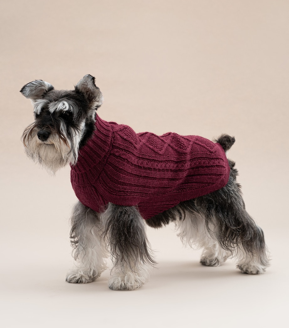 ALQO WASI Alpaca-Blend Aran Knit Dog Sweater (Medium) Red Wine Image 4
