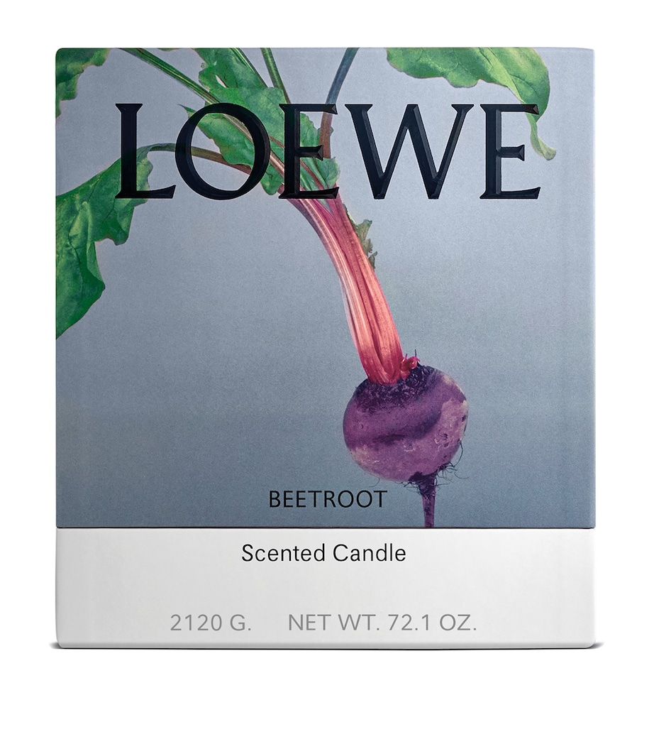 Large Beetroot Candle (2.12kg) NO COLOUR Image 4