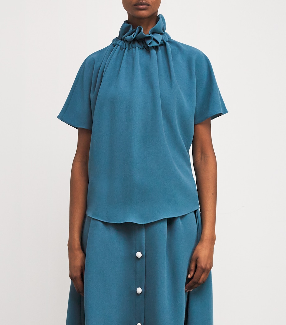 Ruff Blouse COR Image 3