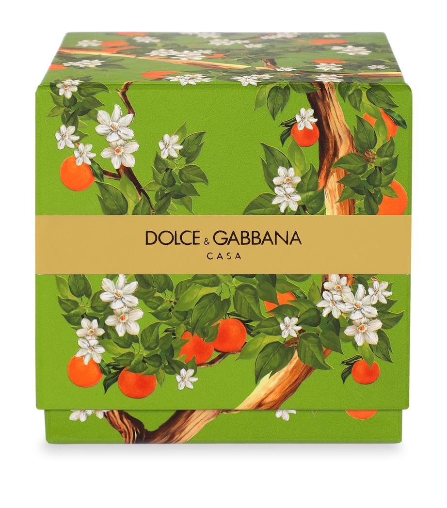 Dolce&Gabbana Casa Arancio Di Sicilia Scented Candle (250g) Arancio Di Sic Image 5