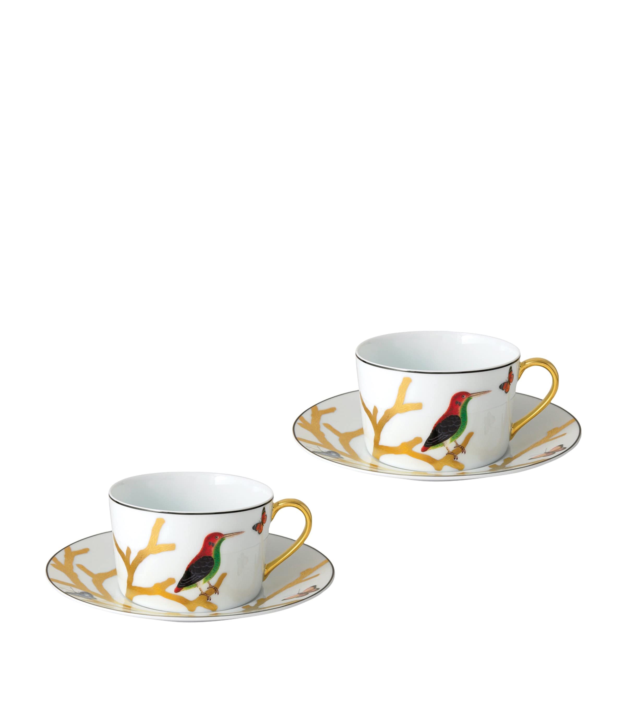 Bernardaud Aux Oiseaux Teacup And Saucer Gift Set