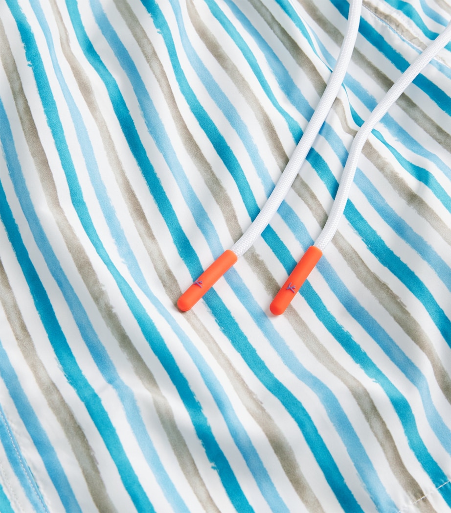 Stripe Print Swim Shorts 2 Image 4