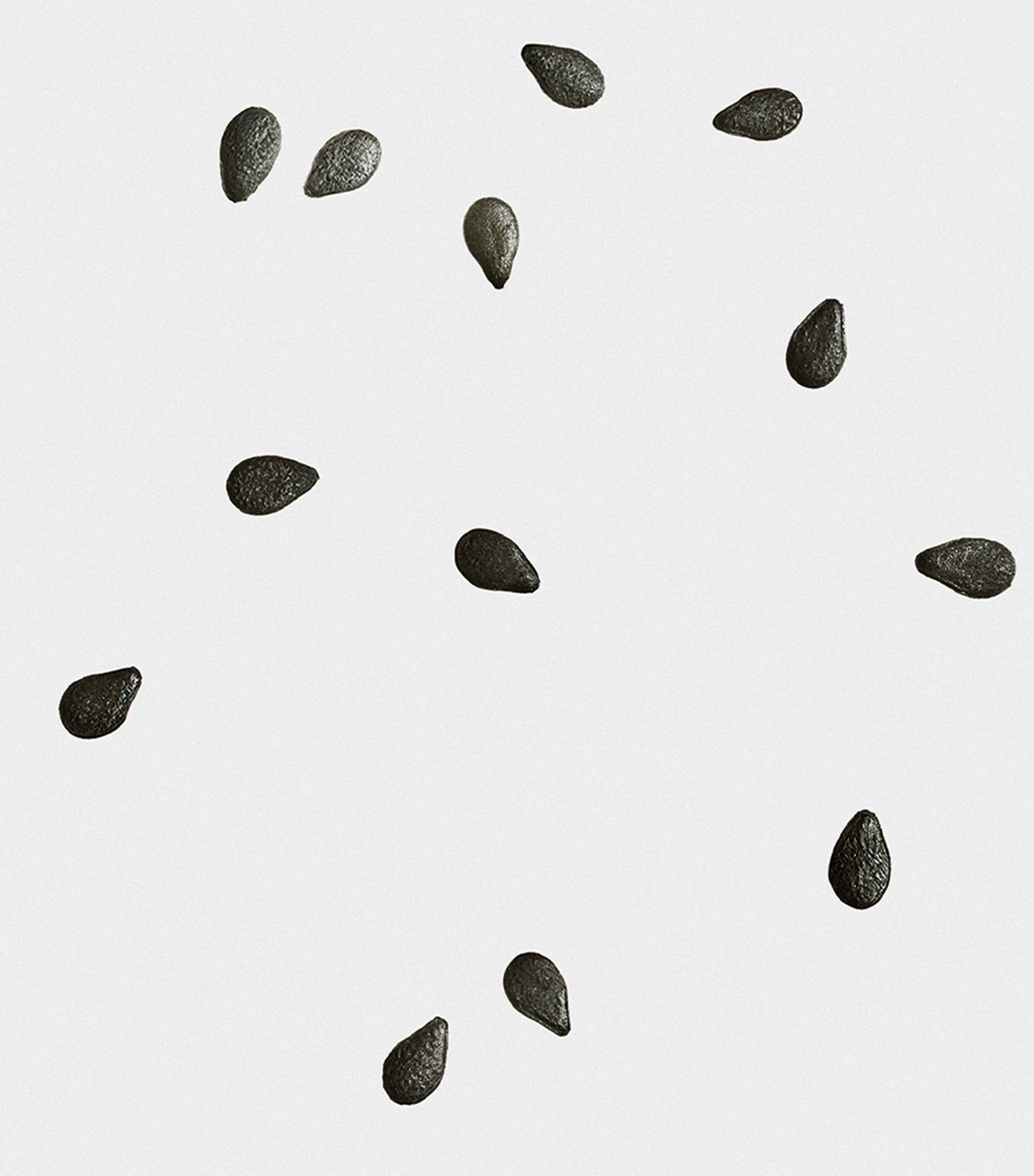 Black Sesame Scented Candle NO COLOUR Image 3