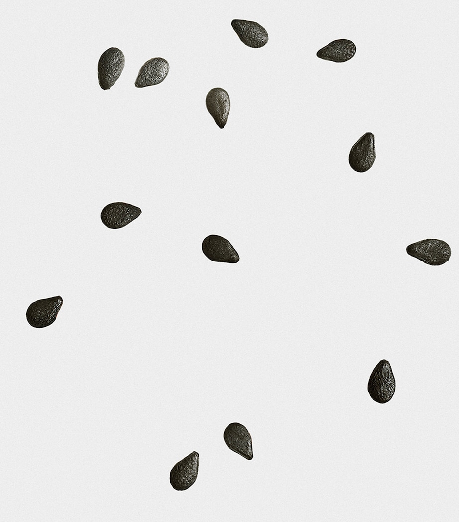 Black Sesame Scented Candle NO COLOUR Image 3