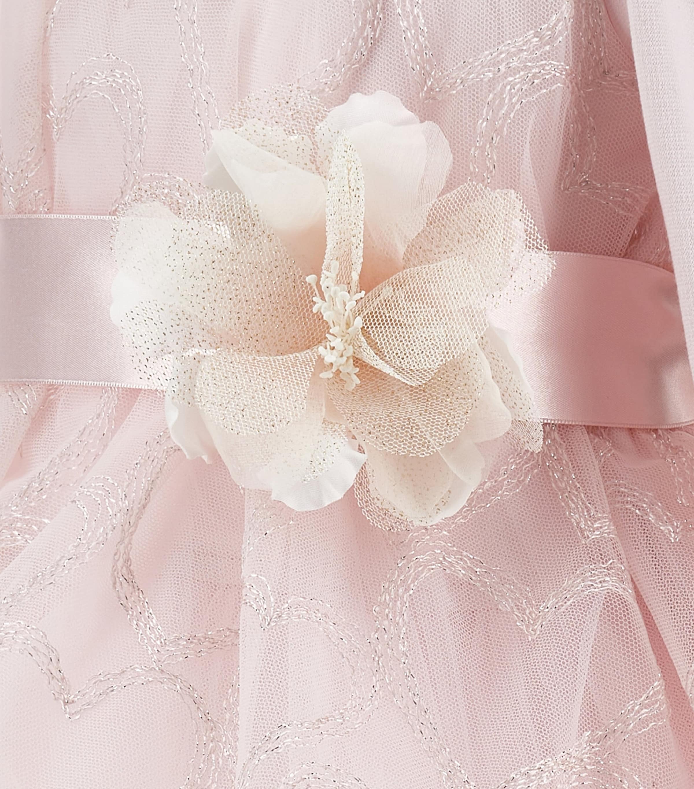 Tulle Glitter-Heart Appliqué Dress (3-36 Months) ROSA ANTICO Image 4