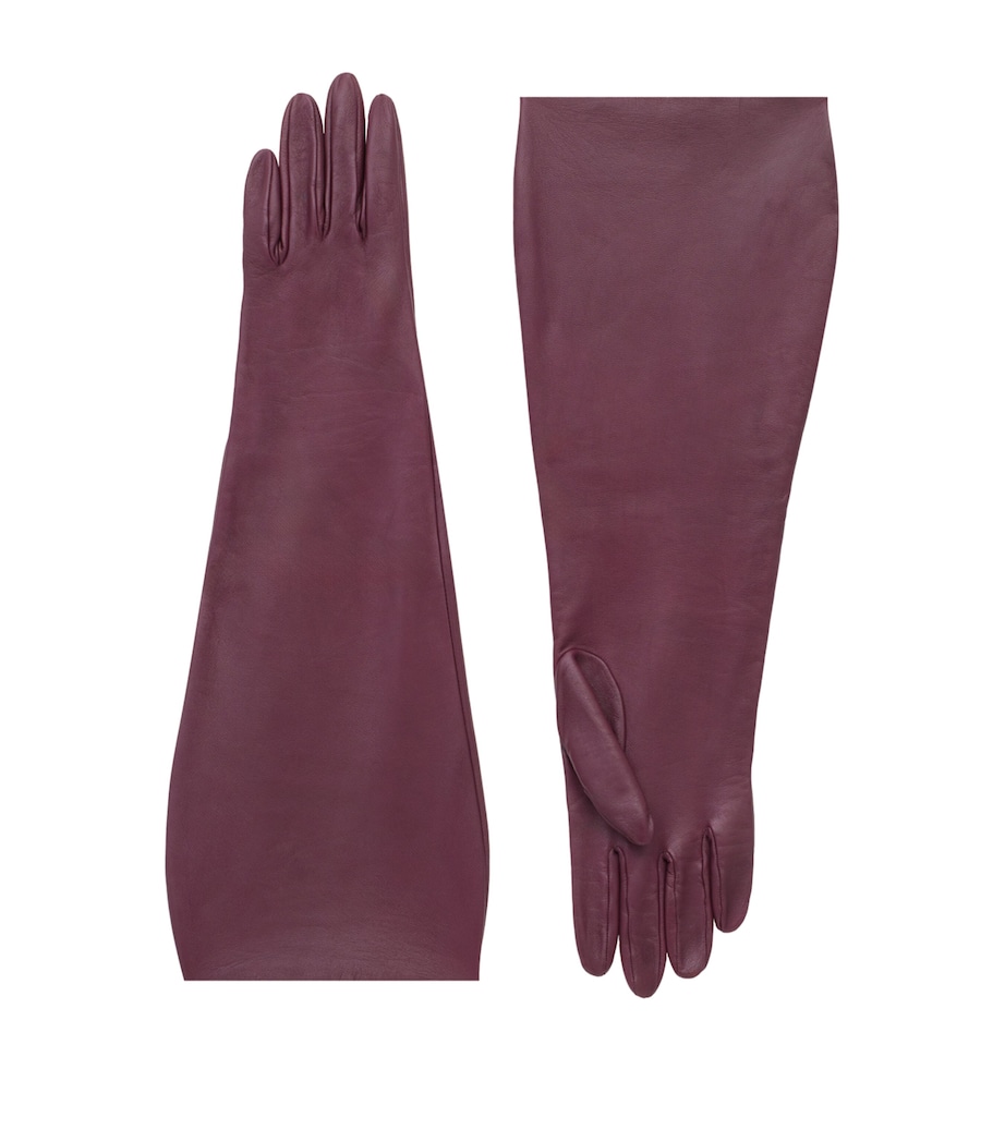 Leather Silk-Lined Elbow-Length Gloves 6100 Image 1