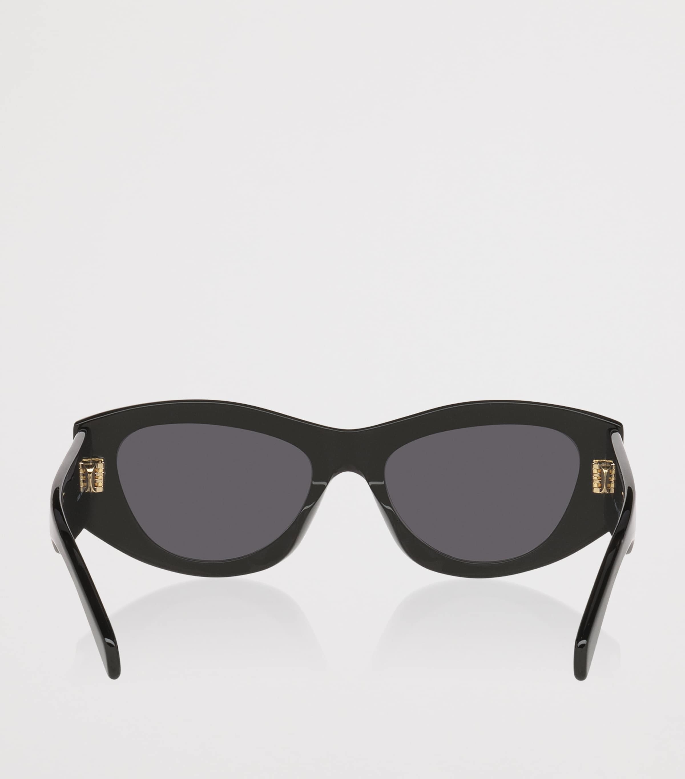 Celine Triomphe Sunglasses Image 4