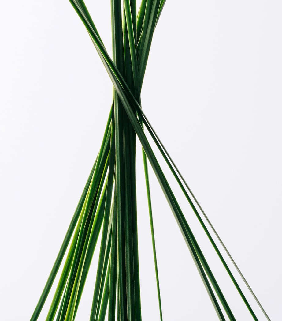 Esencia Eau de Toilette (100ml) NO COLOUR Image 3