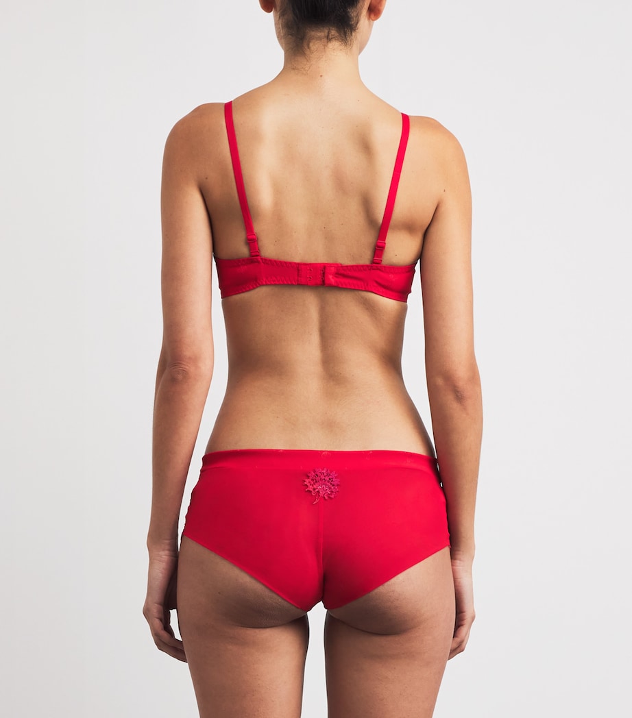 Lace Wish Briefs 160 RAINBOW RED Image 3