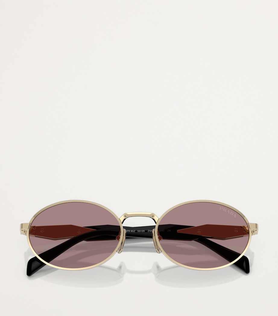 Metal PR65ZS Sunglasses ZVN20I Image 5