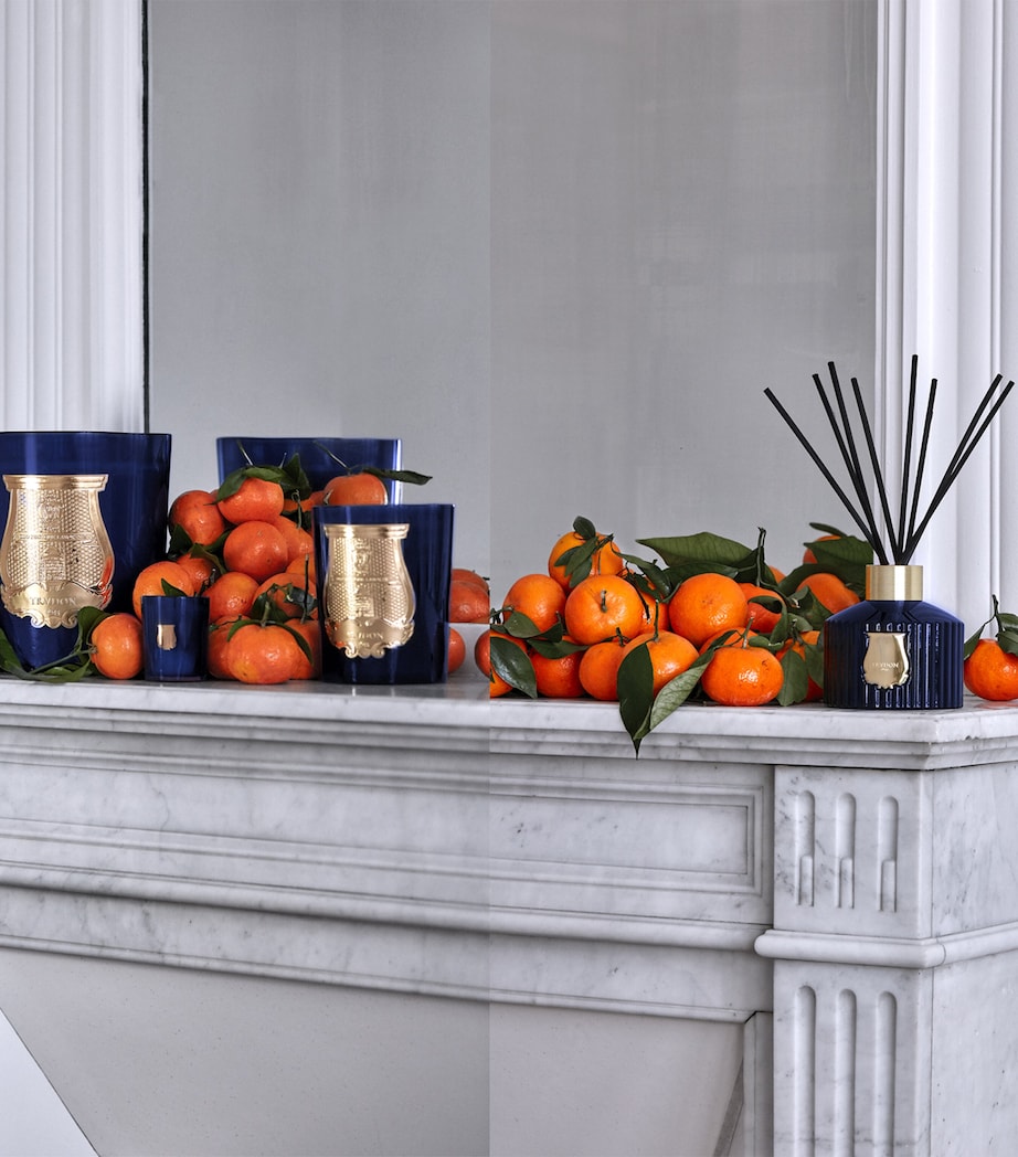 Trudon Reggio Diffuser (350ml) Image 2