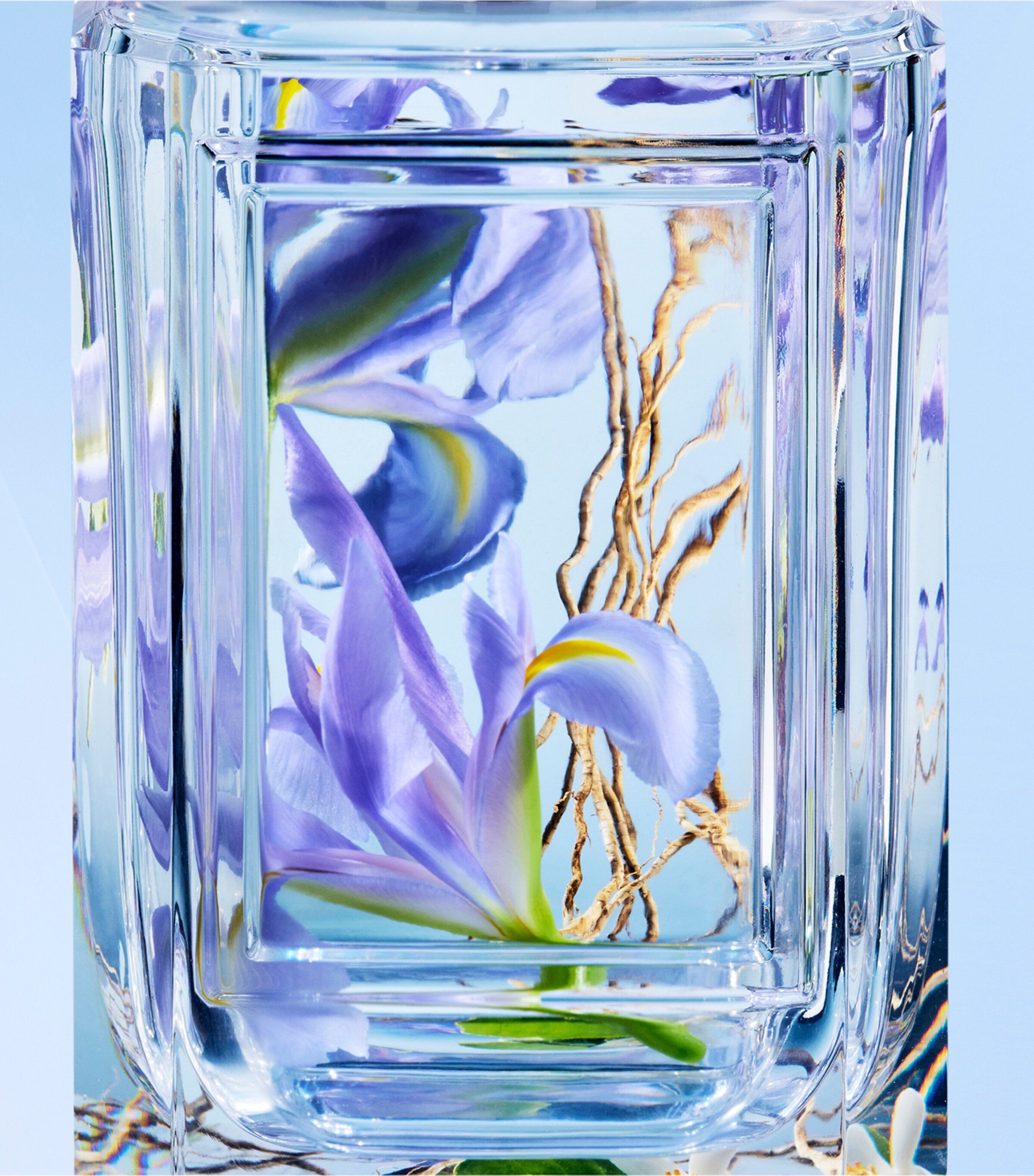 Prada Beauty Olfactory Purple Rain (100ml) Harrods AE