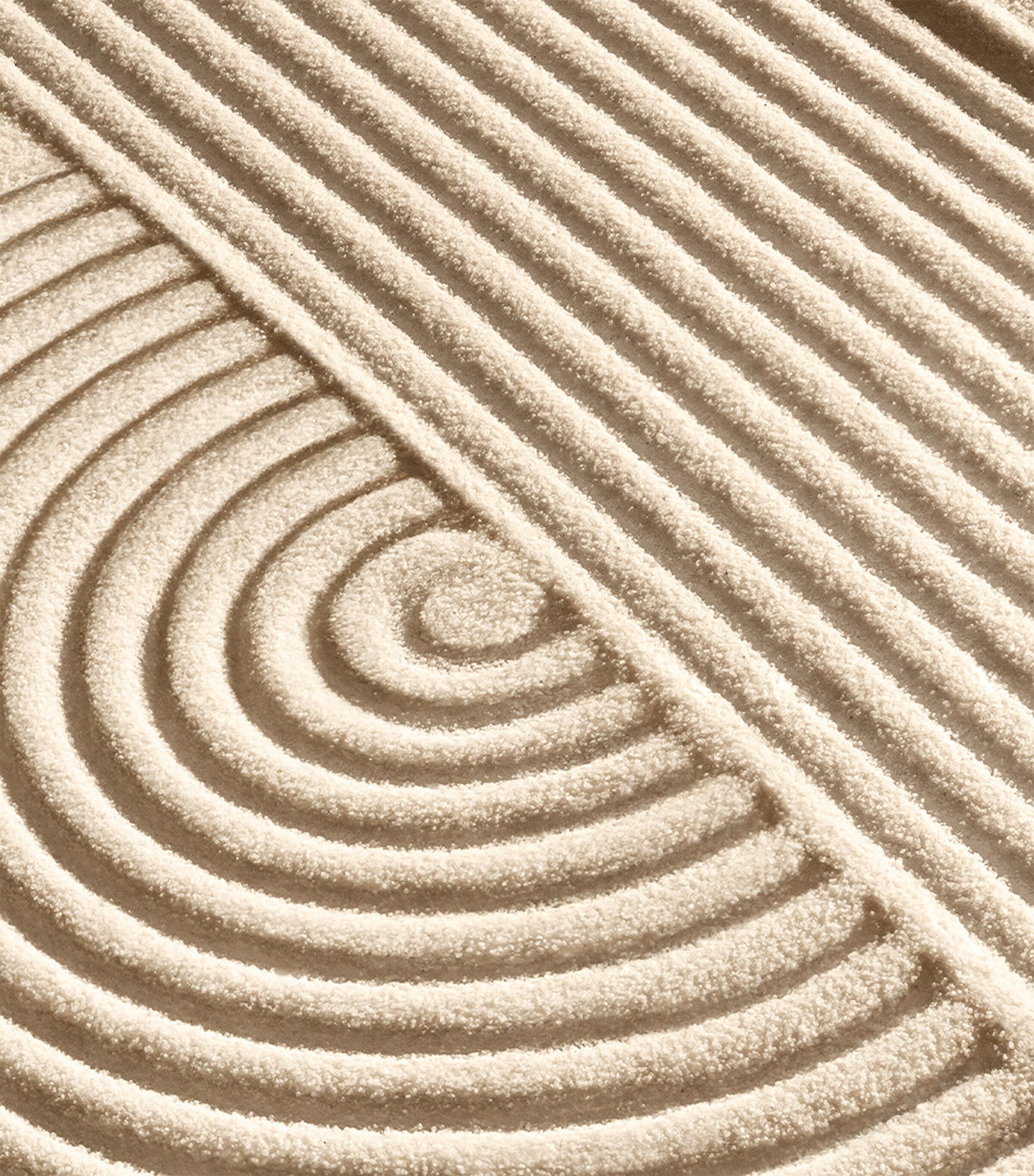 Daily Milkfoliant (74g) NO COLOUR Image 8