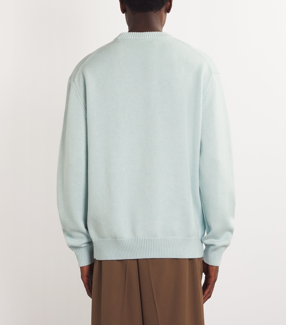 Wool-Cotton Vase Sweater LIGHT BLUE Image 4