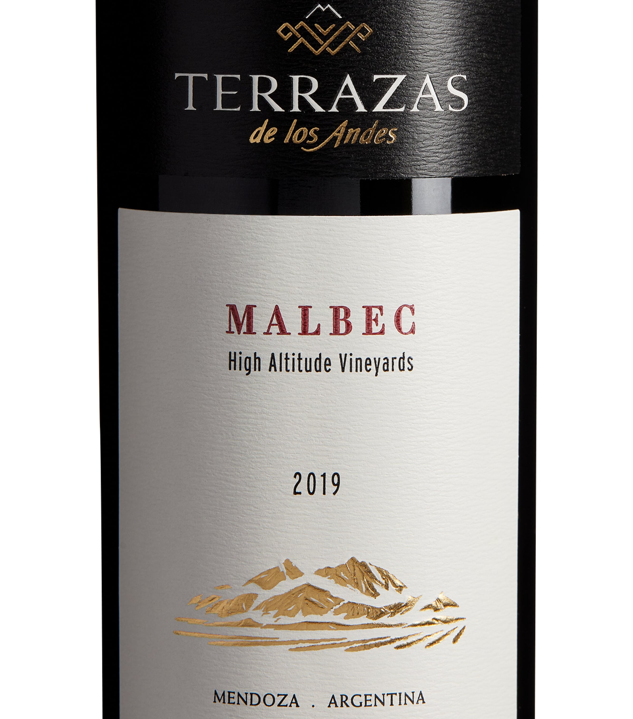 Terrazas de los Andes Terrazas des los Andes Malbec 2022 (75cl) - Mendoza, Argentina Image 2