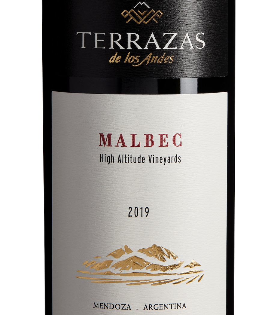 Terrazas des los Andes Malbec 2022 (75cl) - Mendoza, Argentina NO COLOUR Image 2
