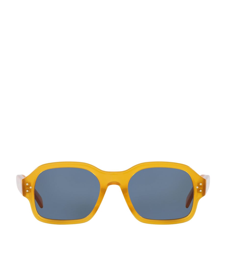 Celine Acetate 0CL000410 Sunglasses Image 1