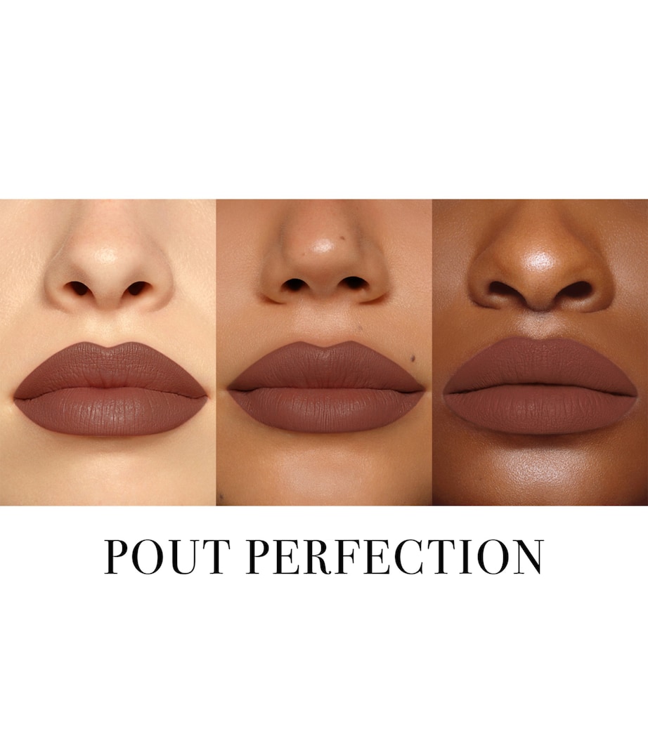 Legendary Longwear Lip Liner POUT PERFECTION Image 2