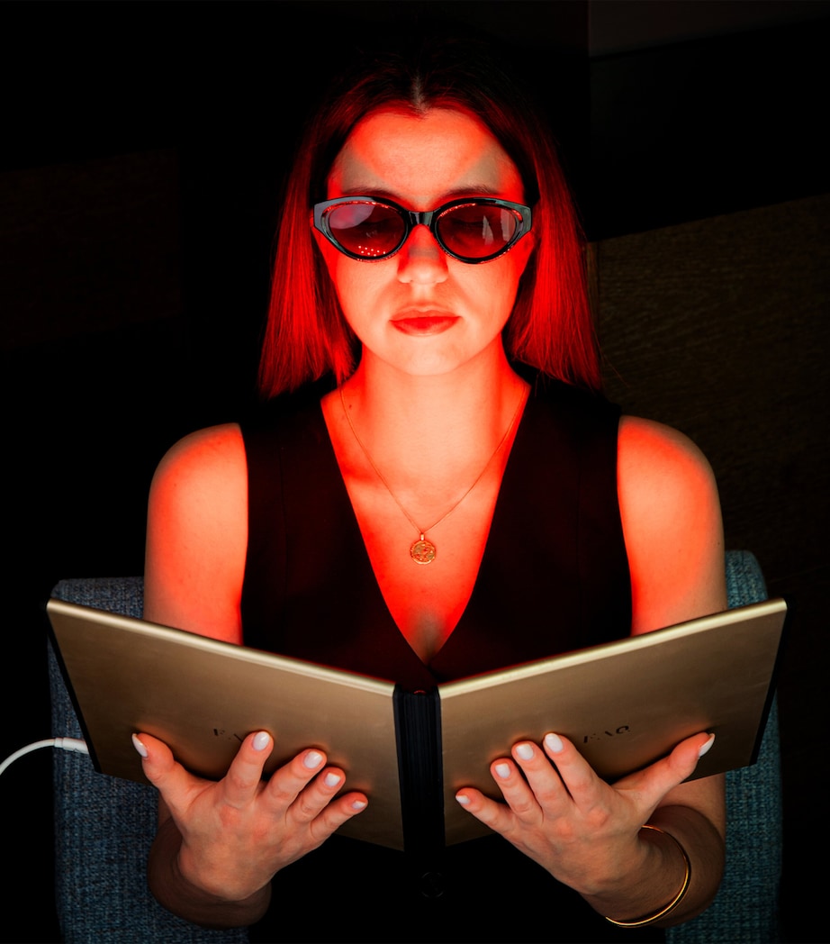 Dual LED Panel NO COLOUR Image 3