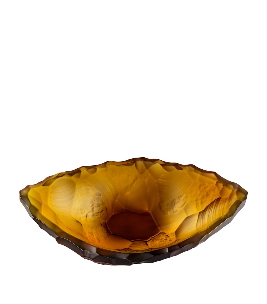 Small Crystal Silex Bowl (22cm) CANYON Image 1