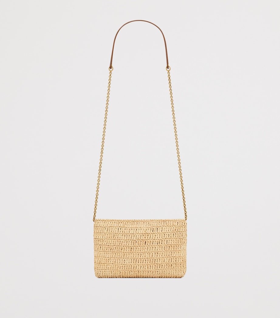 Raffia Cassandre Pouch on Chain 2791 Image 2