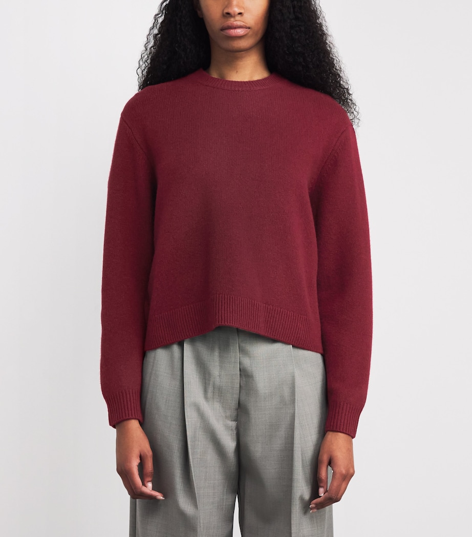 The Cashmere Sweater PINOT Image 3