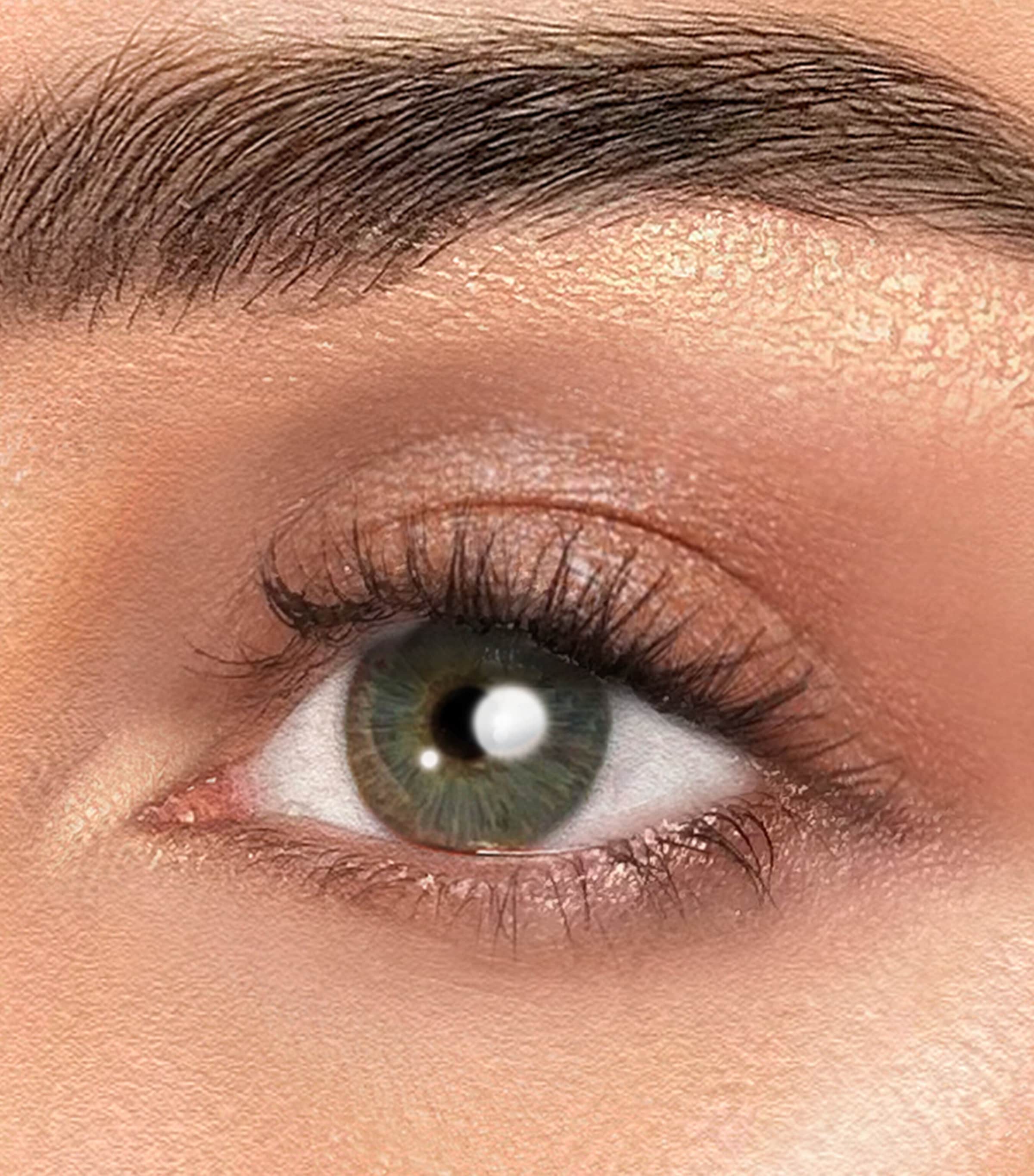 Nude Eyeshadow Palette NO COLOUR Image 4