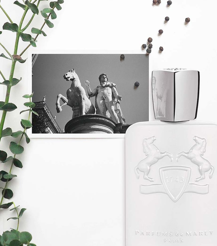 Galloway Eau de Parfum (125ml) NO COLOUR Image 4