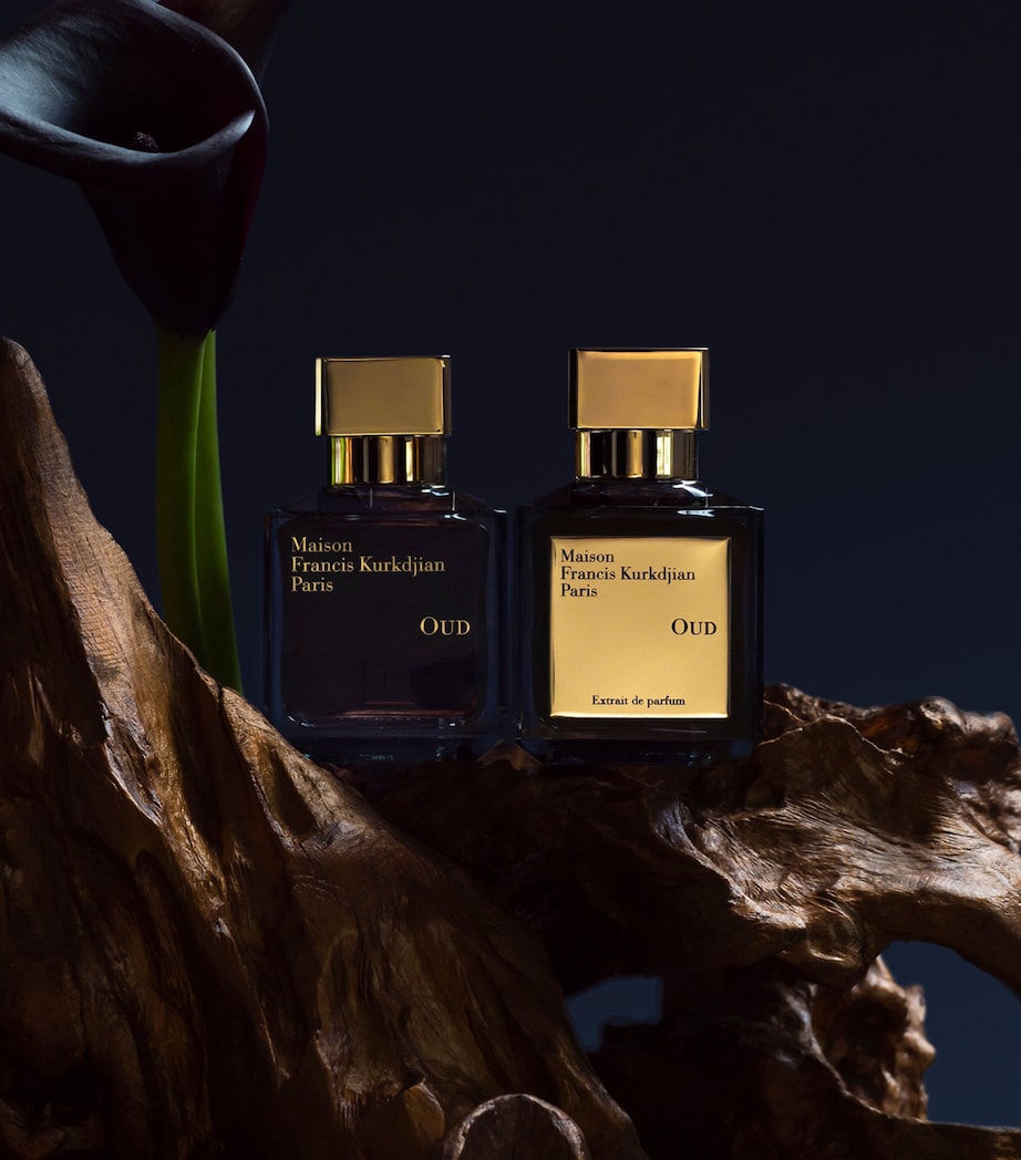 OUD Eau de Parfum (35ml) NO COLOUR Image 5