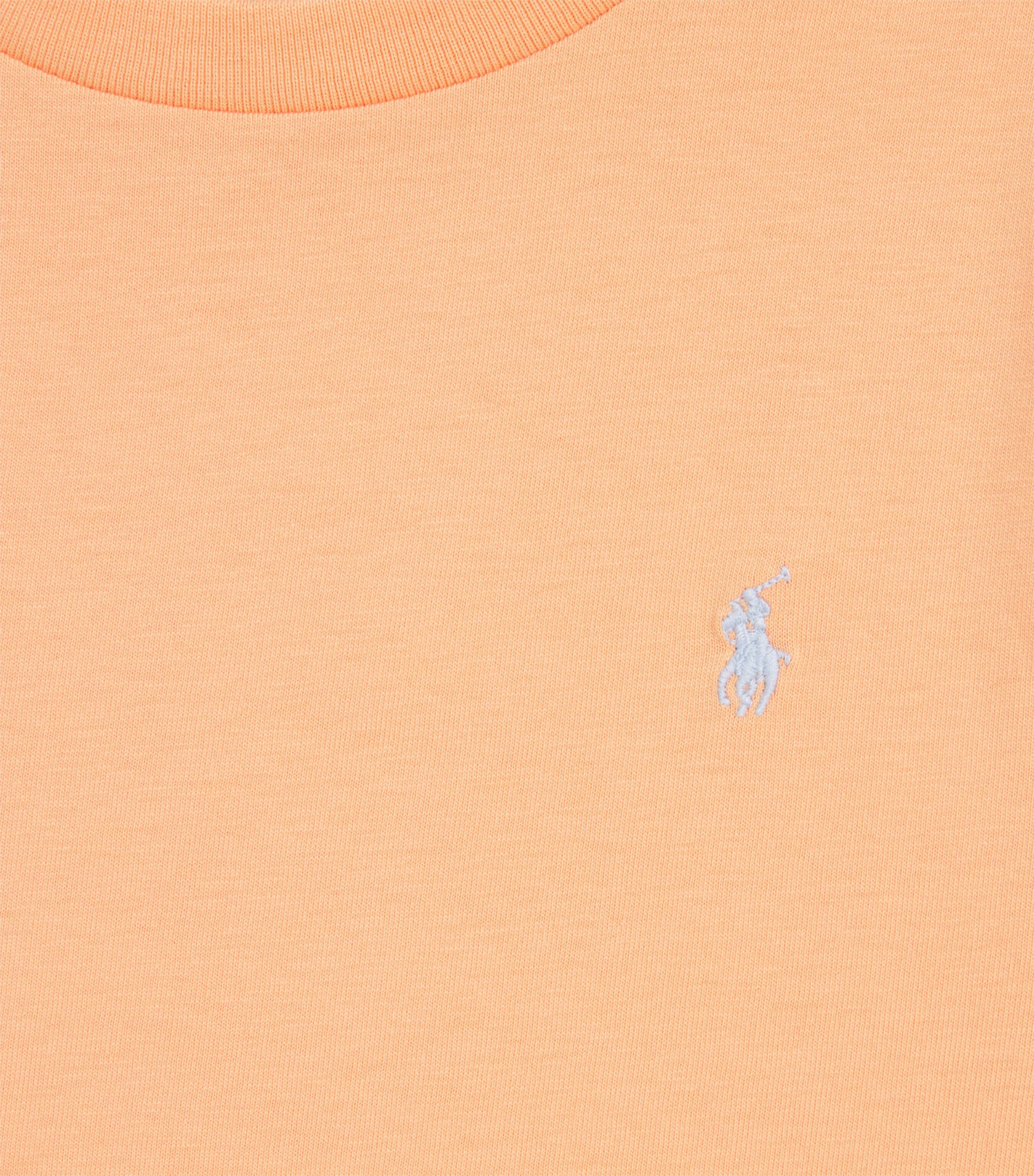 Cotton Polo Pony T-Shirt (6-14 Years) POPPY Image 3