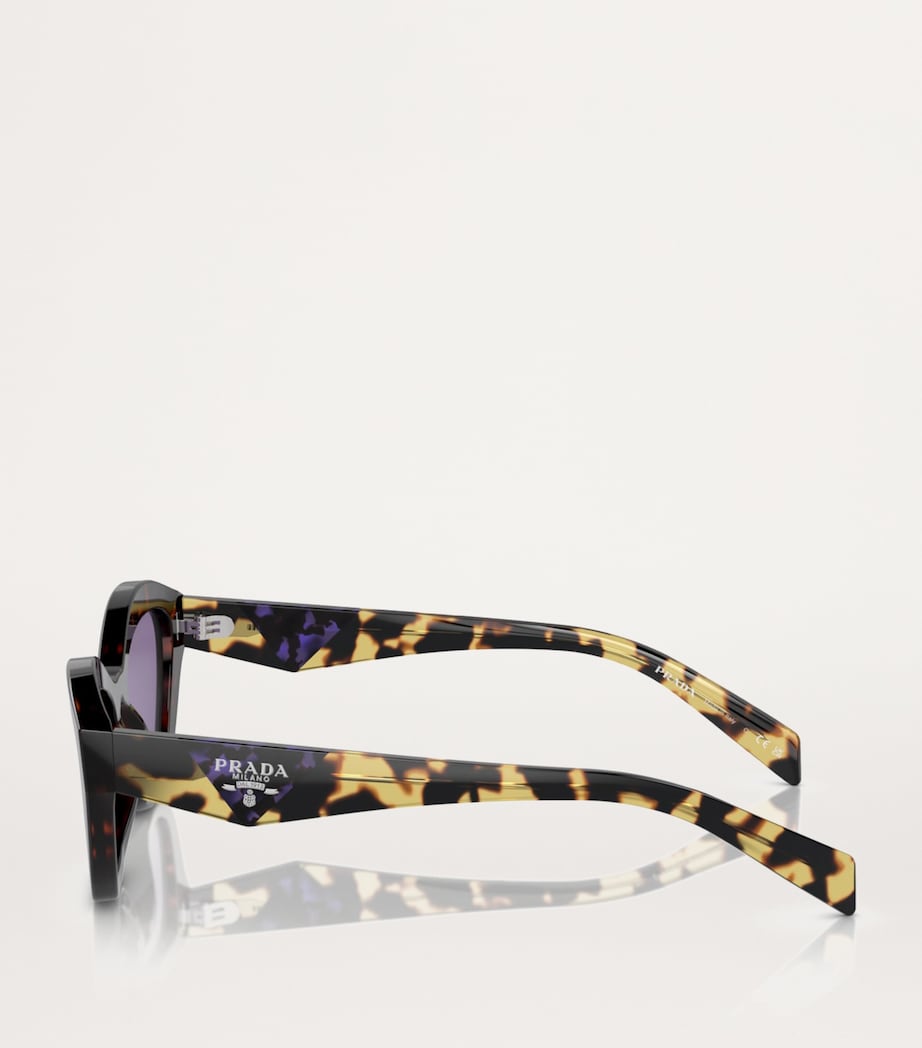 Tortoiseshell Cat-Eye Sunglasses 17N50B Image 3