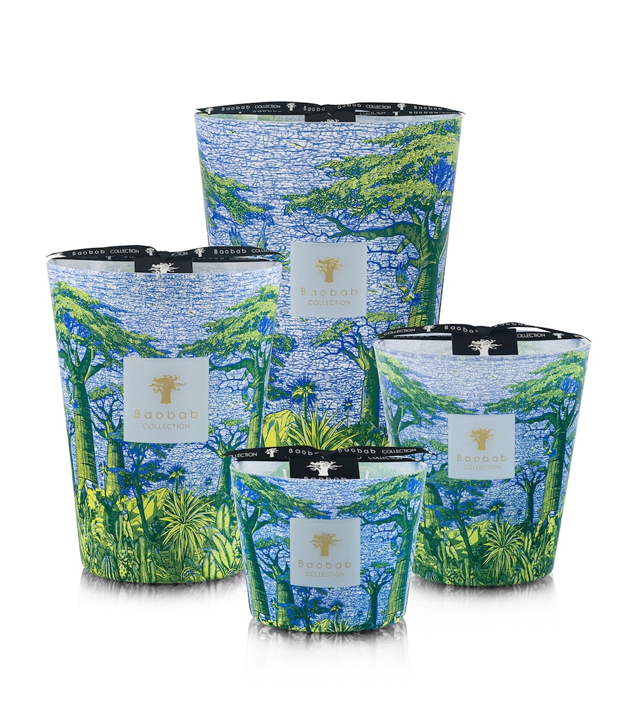 Sacred Trees Yarani Candle (5.2kg) BLUE Image 2