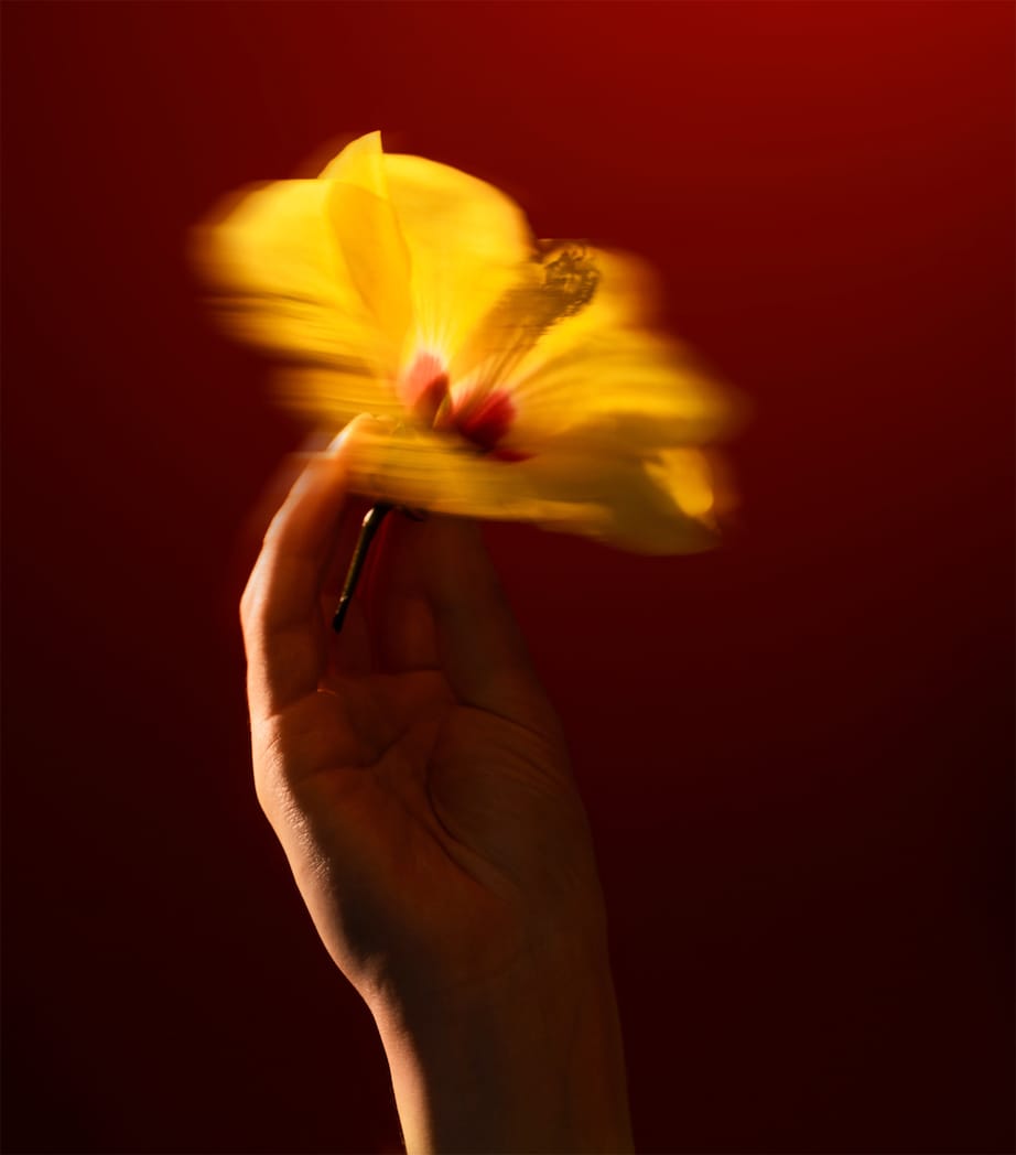 Hibiscus Mahajad Scented Candle (190g) NO COLOUR Image 4