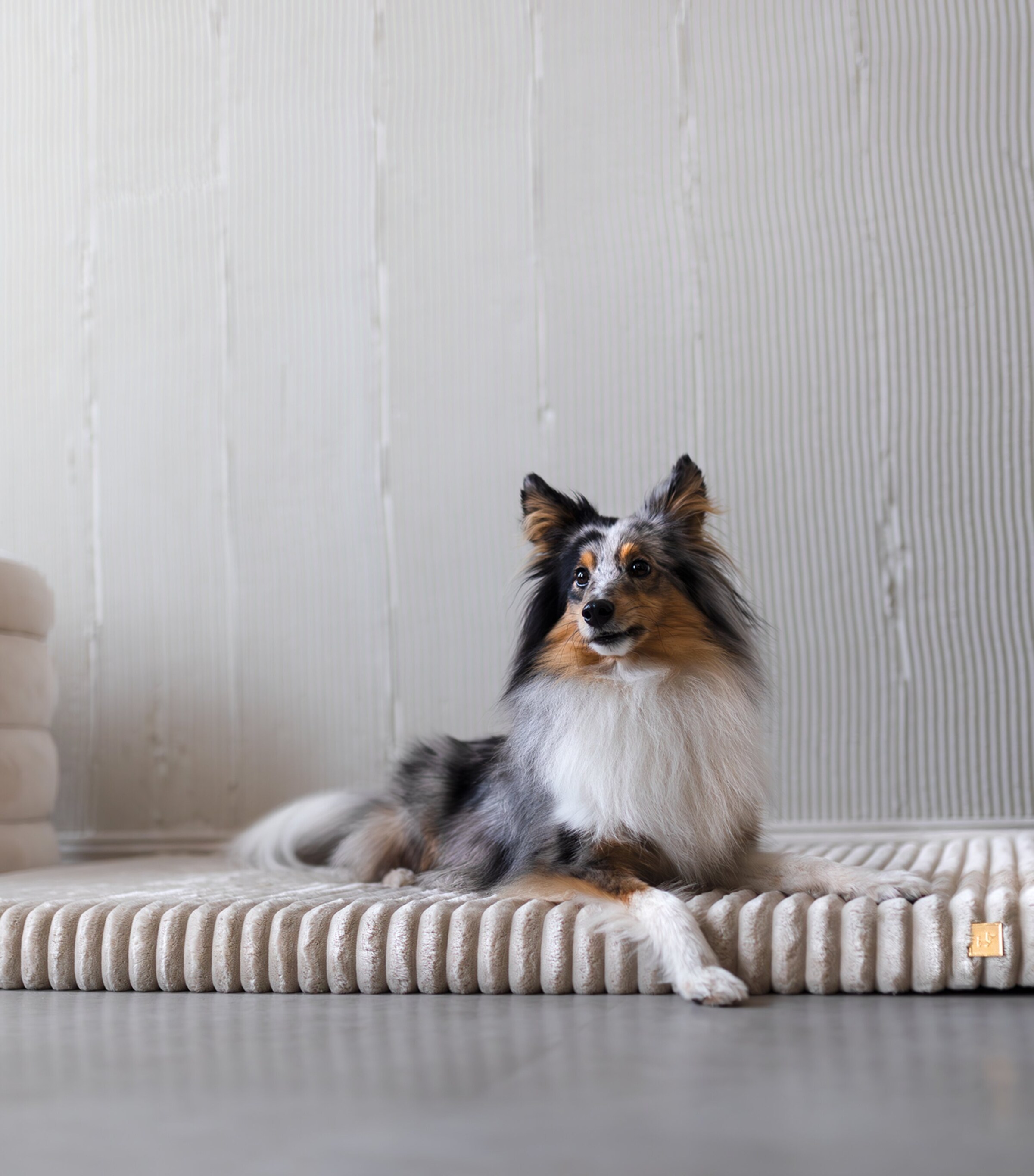 Large Organic Orthopaedic Dog Mattress BEIGE Image 6