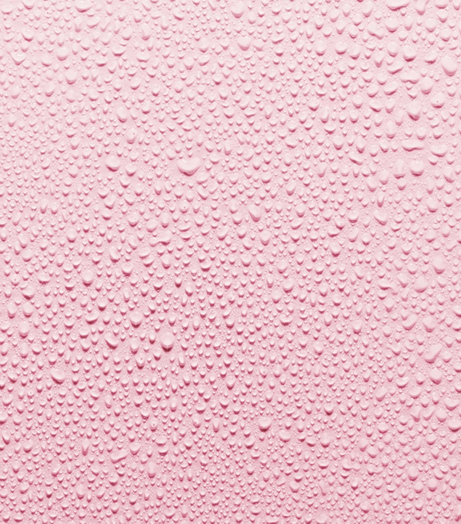 Rose Instant Hydration Mist (100ml) NO COLOUR Image 4