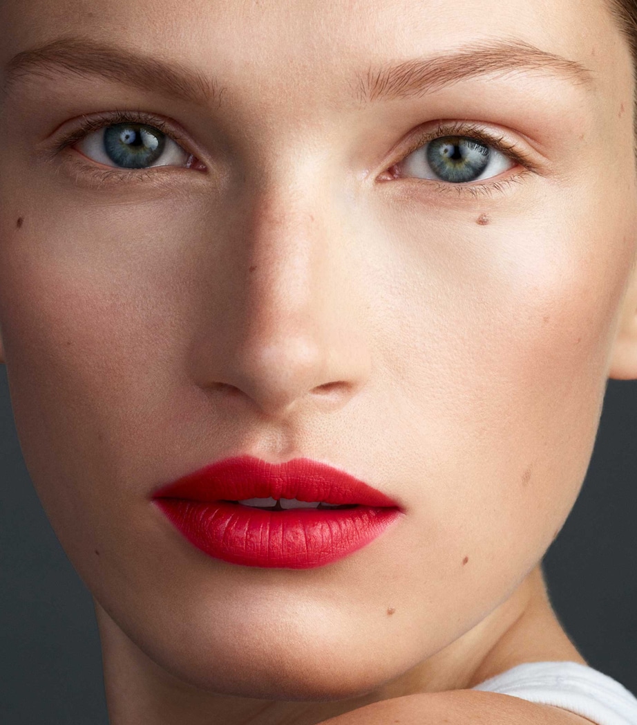 Lip Suede Palette LES ROUGES Image 6