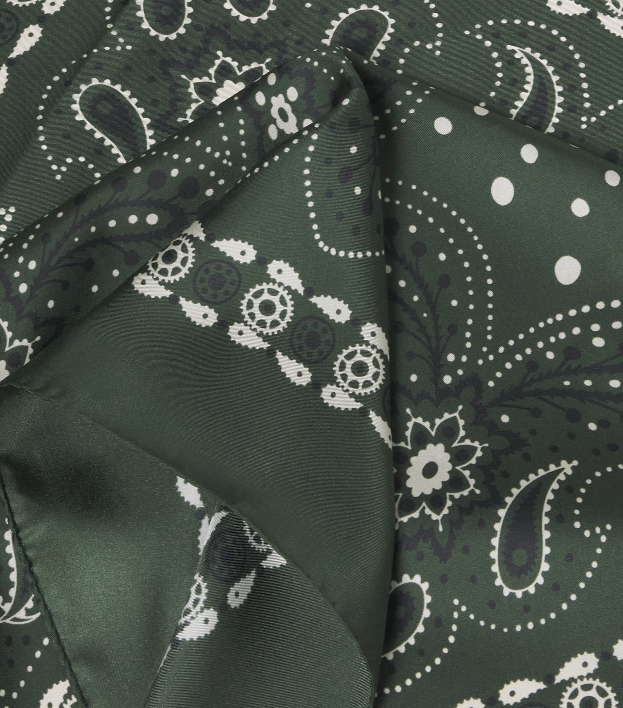 Silk Paisley Print Scarf GREEN Image 5
