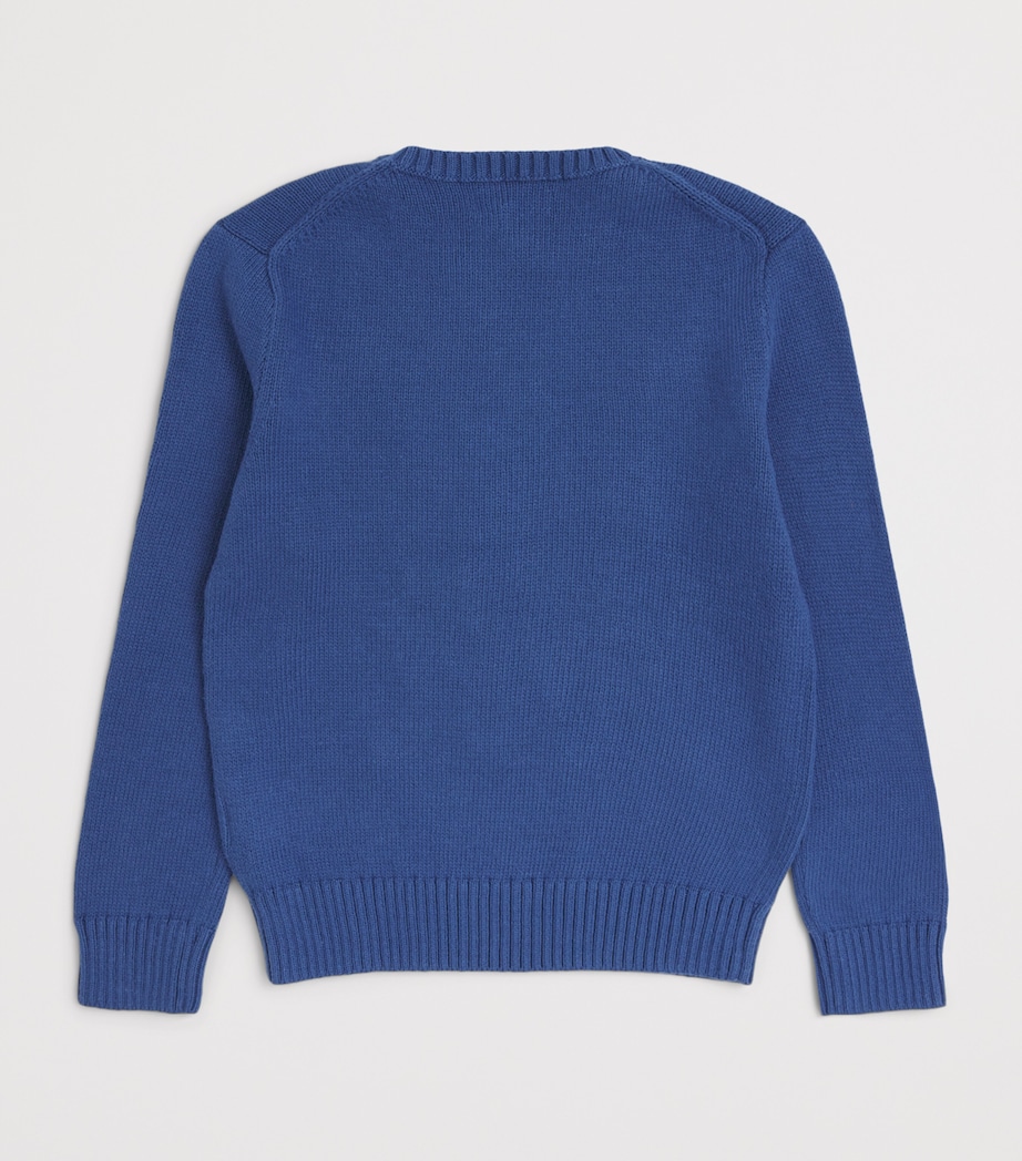 Ralph Lauren Kids Polo Bear Sweater (2-7 Years) Old Royal Image 2