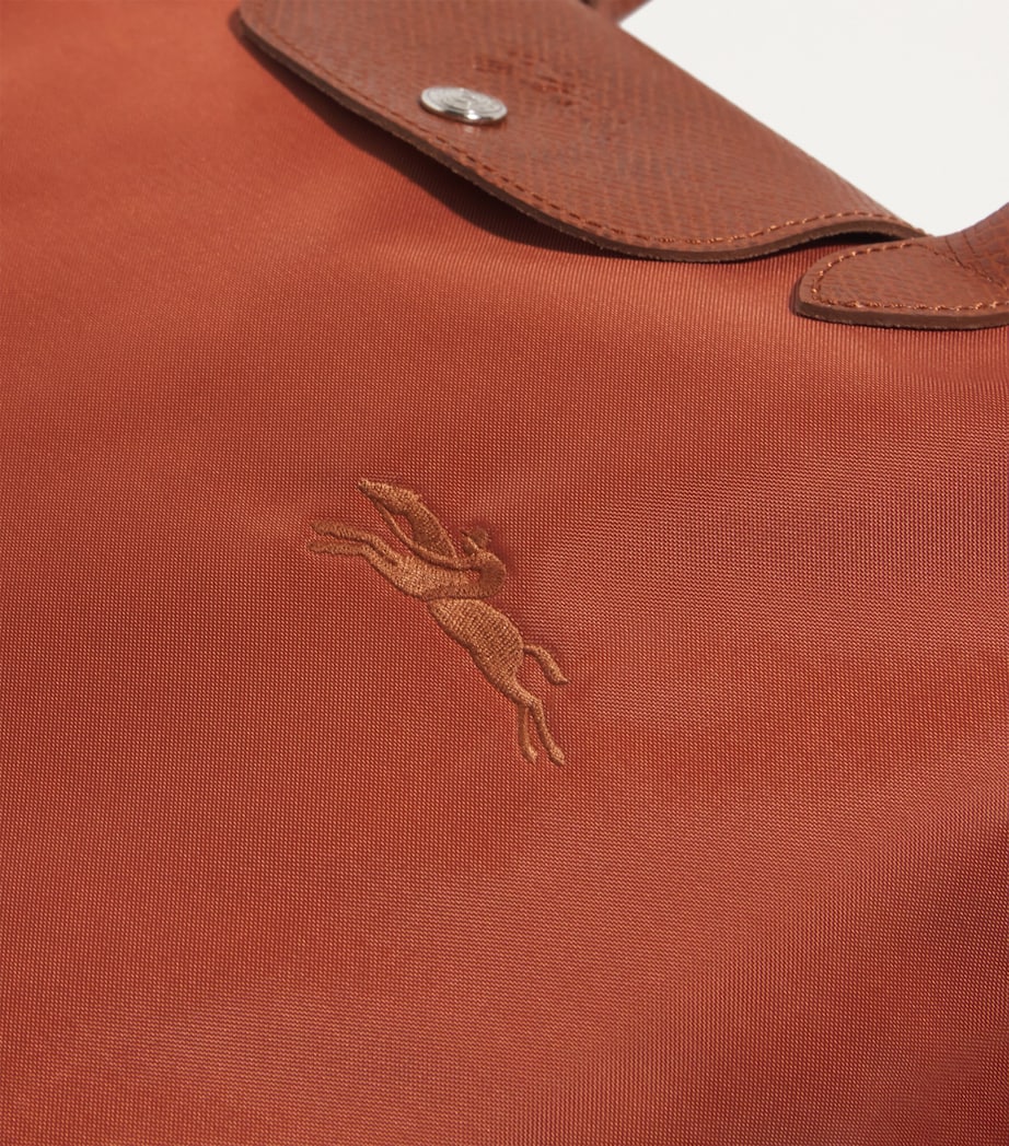 Medium Le Pliage Green Tote Bag 404 CHESTNUT Image 7