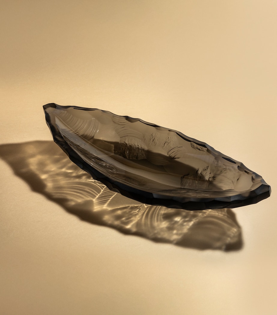 Medium Crystal Silex Bowl (46cm) GRIS Image 3