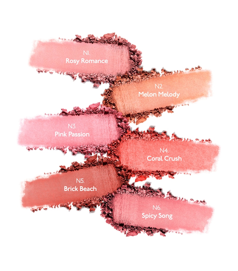 Tea to Tan Blush Powder N6 Image 5