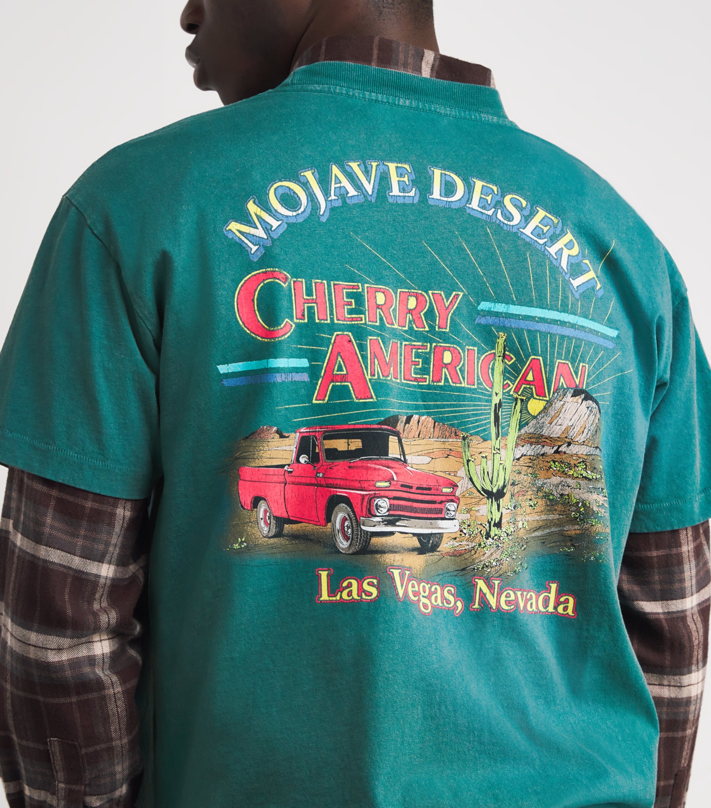 Cotton Mojave Desert Print T-Shirt TEAL Image 6