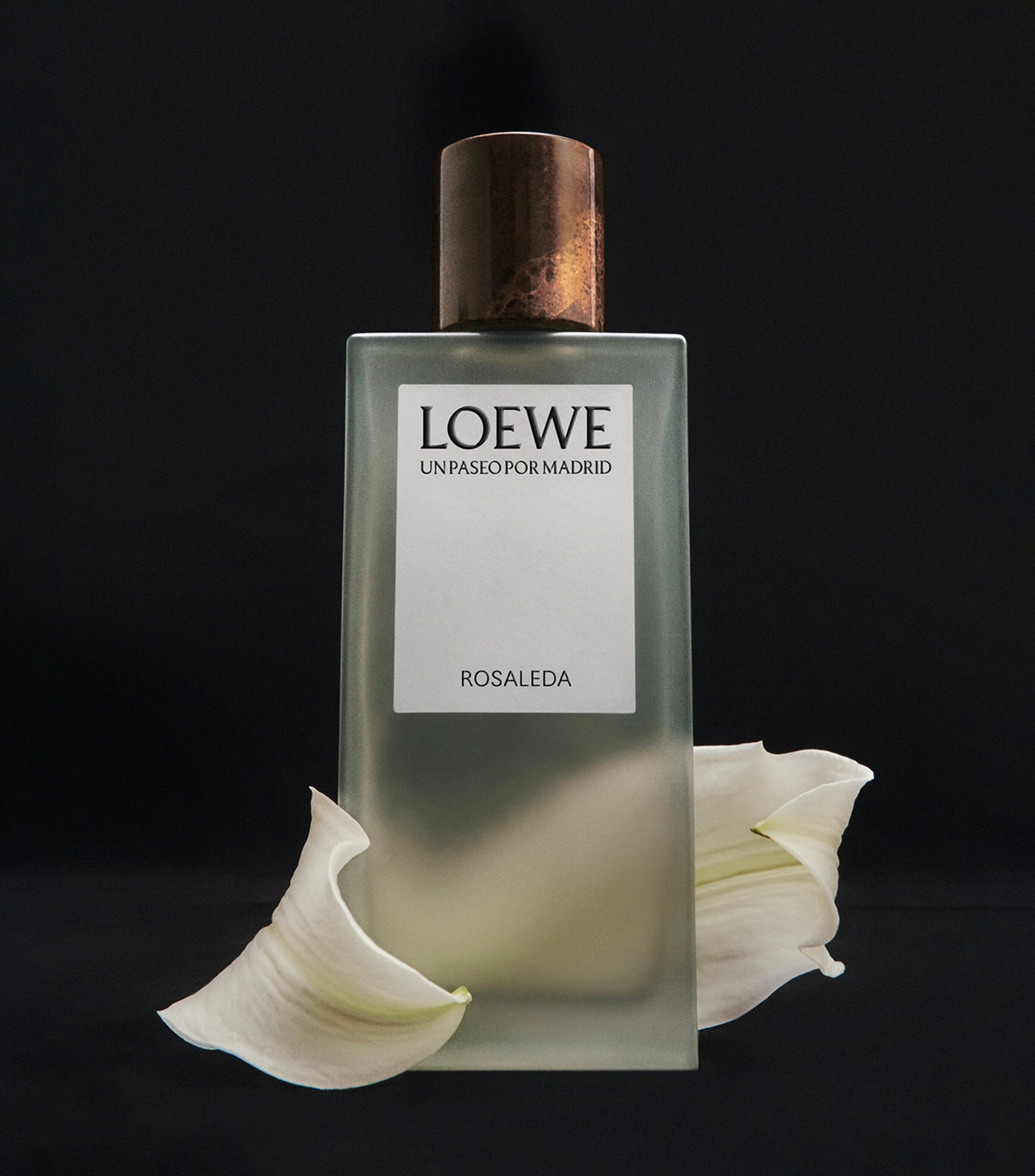 香水(ユニセックス) LOEWE ROSALEDA Loewe Harrods De La Mano Por La Rosaleda For Unisex Eau De
