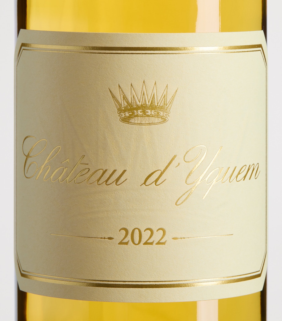 Château d'Yquem Château d'Yquem 2022 (75cl) - Bordeaux, France Image 2
