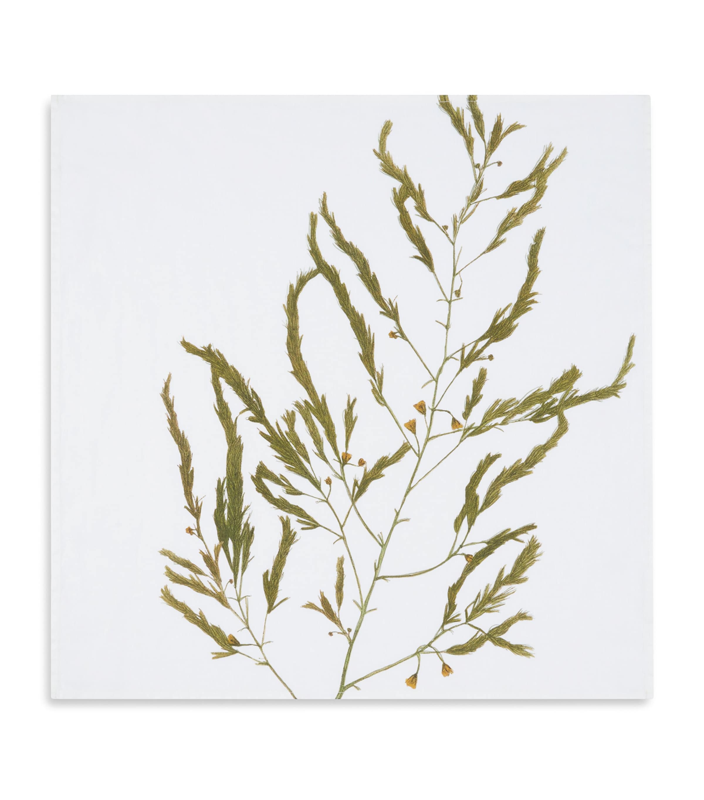 Set of 6 Linen Gastronomic Herb Garden Napkins (50cm x 50cm) GREEN Image 4