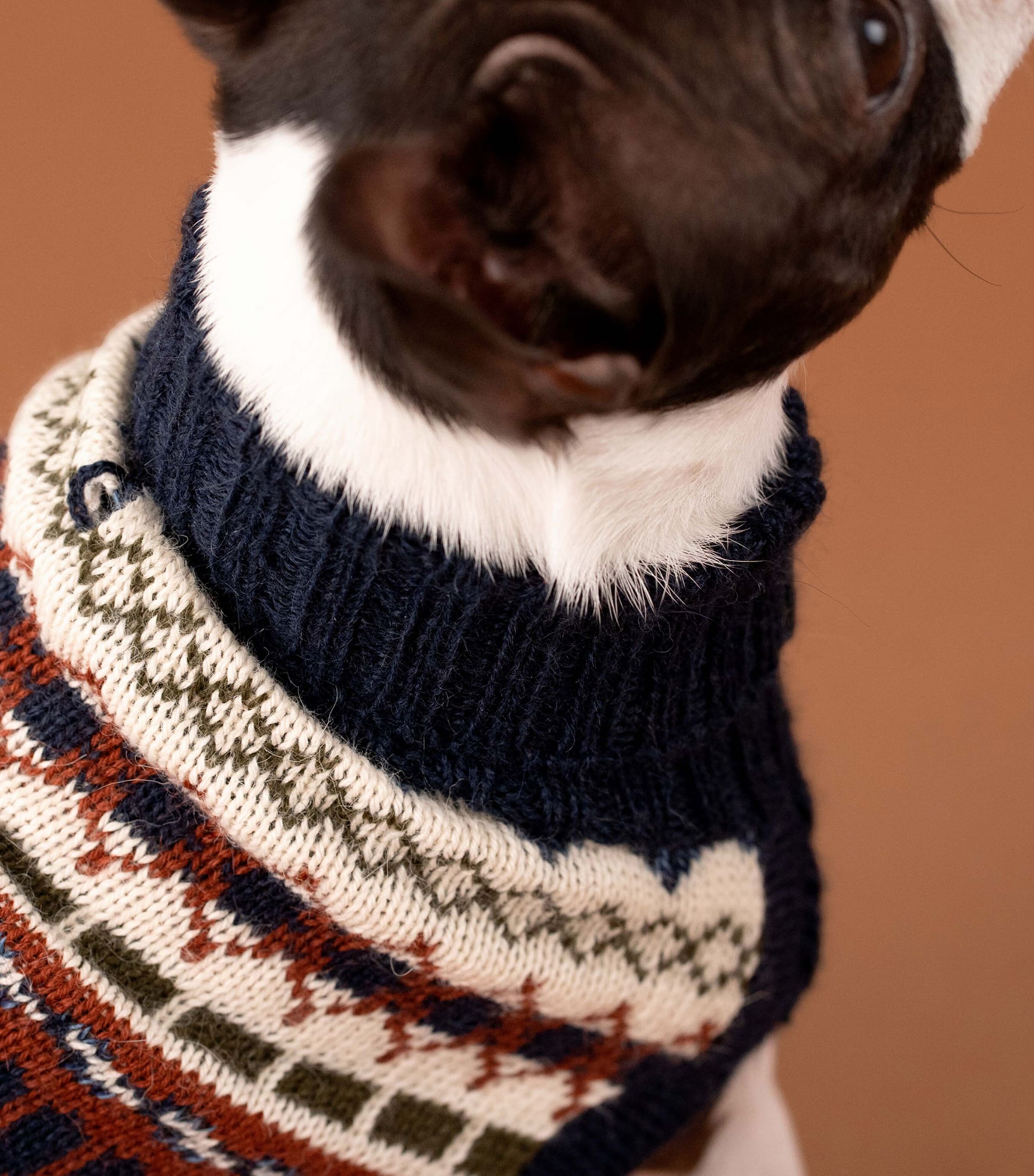 ALQO WASI Iceberg Bleau Melange Dog Sweater (XX-Small) Iceberg Bleu Melange Image 5