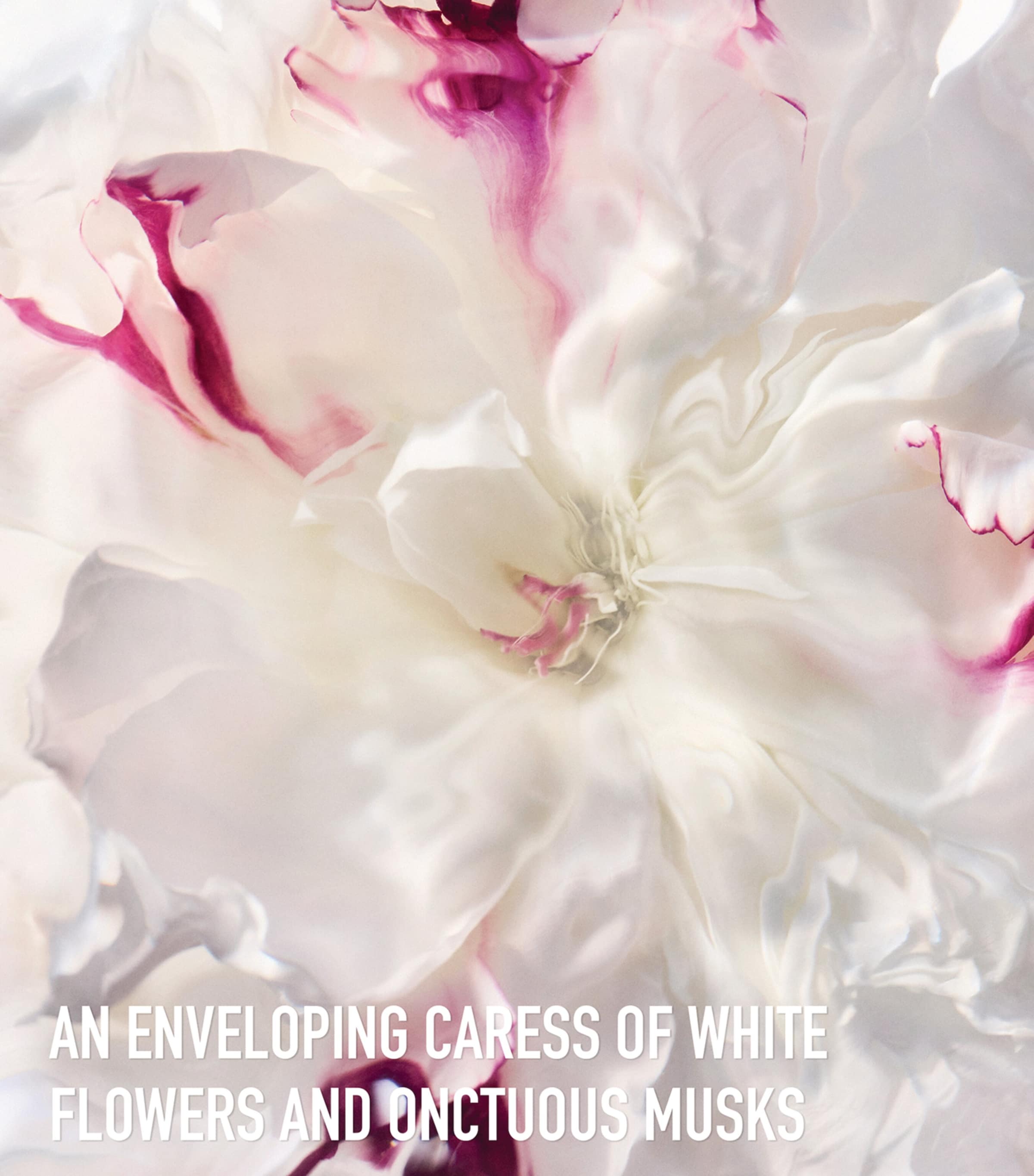 Joy Eau de Parfum (90ml) NO COLOUR Image 3