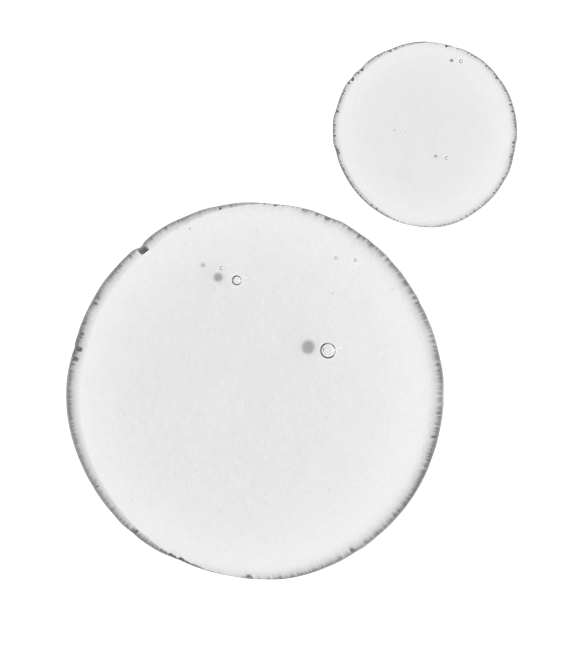 Balancing & Clarifying Serum (30ml) NO COLOUR Image 3