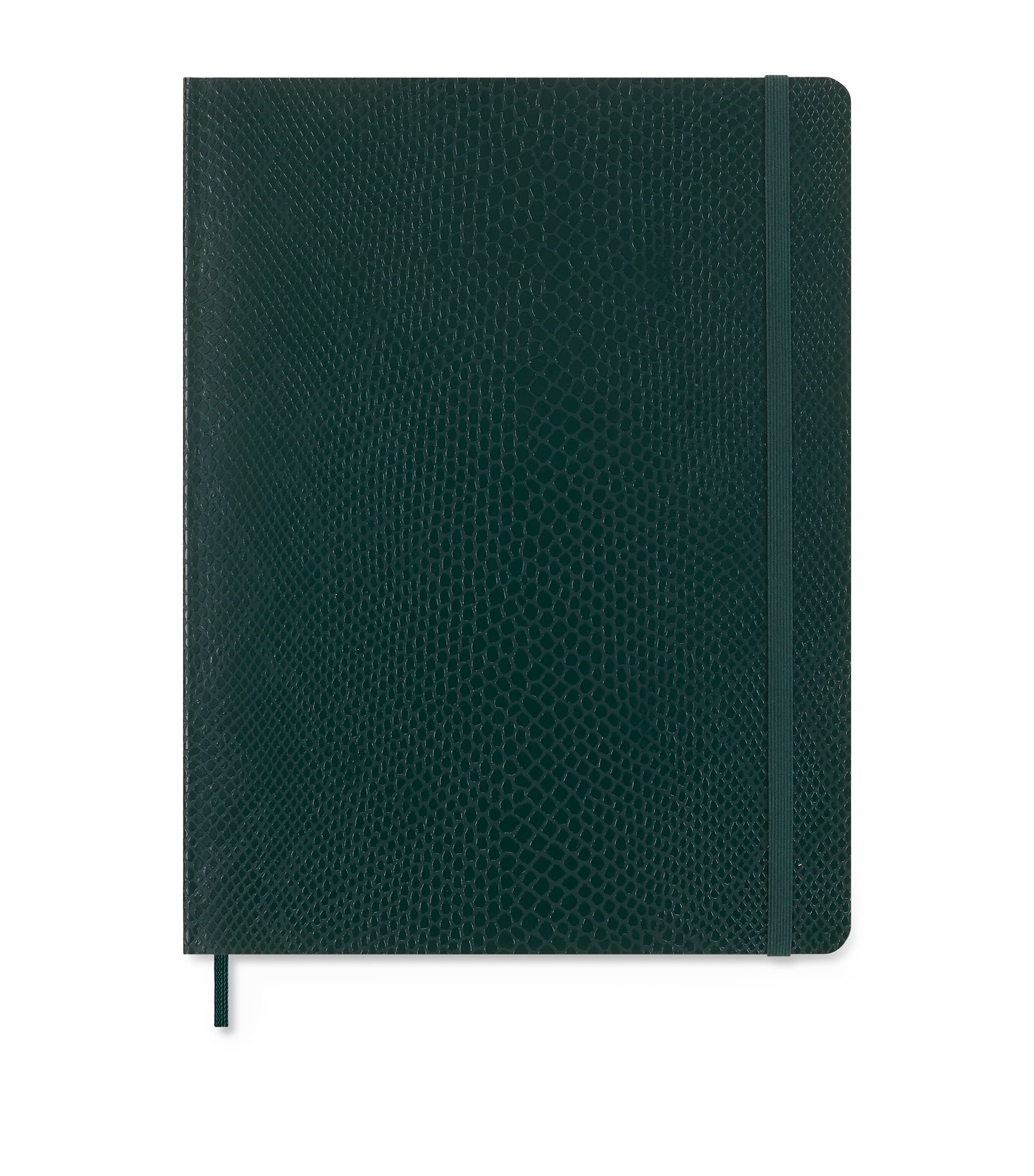 Moleskine Large Precious & Ethical Vegan Notebook In Green