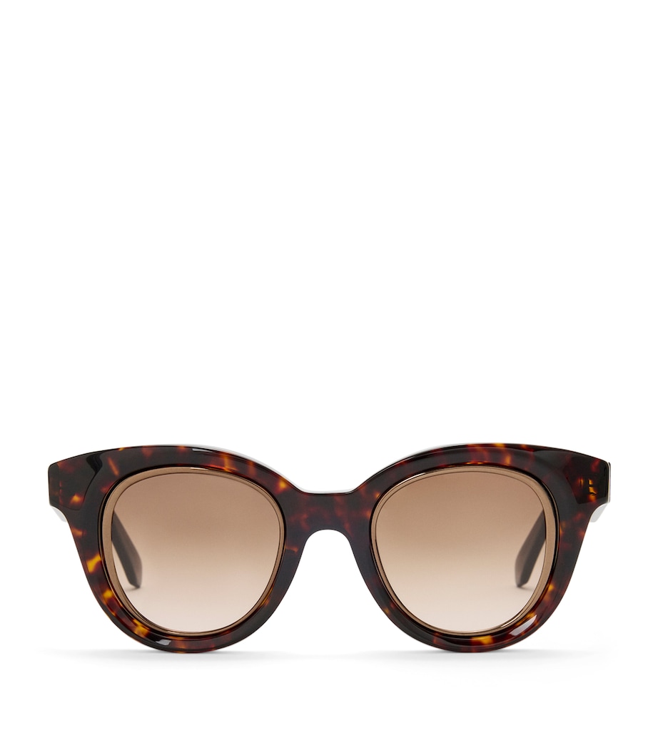 Mini Anagram Butterfly Sunglasses HAVANA Image 1